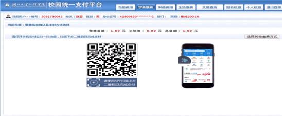 D6E5A6D8341D28B978C3E8E69C46F6E5